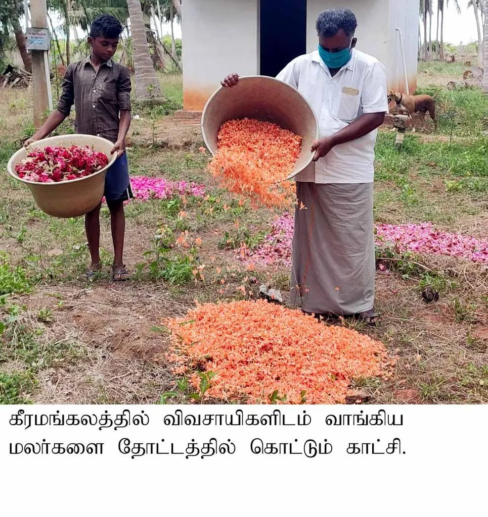 Flowers that go to the trash ... Merchants who stop buying ... Farmers in tears !!